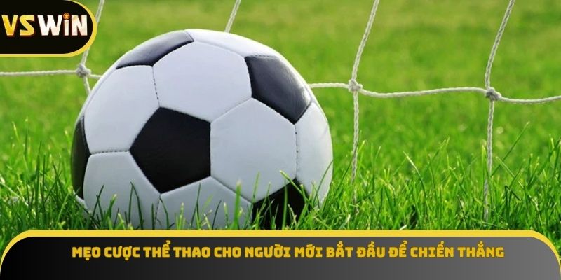 Mẹo cược thể thao cho người mới bắt đầu để chiến thắng